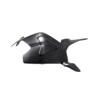 Carbon Fiber Swingarm Cover by Ilmberger Carbon