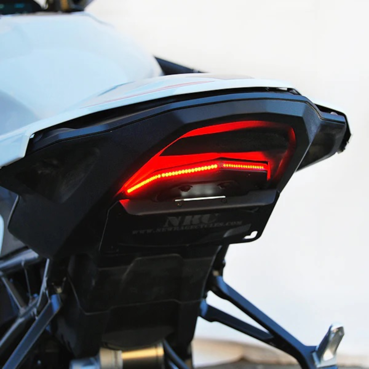 BMW F900R Tail Tidy Fender Eliminator Kit