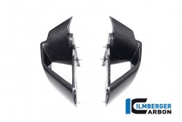 Carbon Fiber Winglet Set by Ilmberger Carbon