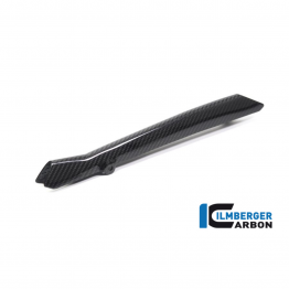 Carbon Fiber Brake Pipe Cover by Ilmberger Carbon