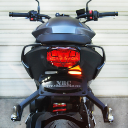 Radiator Guard by Evotech Performance Triumph / Street Triple RS