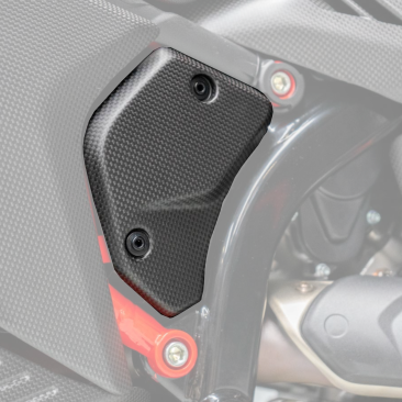 Carbon Fiber Frame Covers by DBK Special Parts