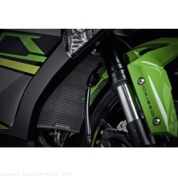  Kawasaki / Ninja ZX-6R 636 / 2019