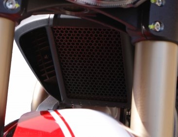 Oil Cooler Guard by Evotech Performance Ducati / Monster 1100 EVO / 2012