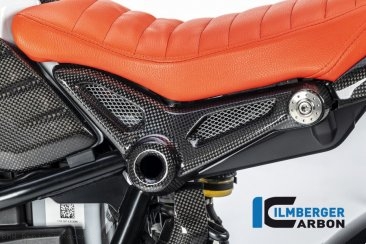 Carbon Fiber Frame Cover by Ilmberger Carbon BMW / R nineT Racer / 2016