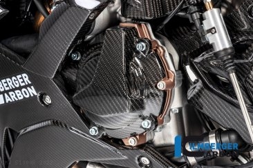 Carbon Fiber Alternator Cover by Ilmberger Carbon BMW / S1000R / 2022