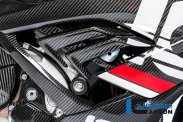 Carbon Fiber Right Side Air Outlet by Ilmberger Carbon BMW / S1000RR / 2020