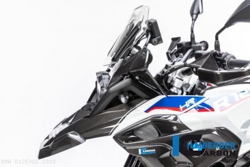 Carbon Fiber Front Beak Upper Mudguard by Ilmberger Carbon BMW / R1250GS / 2019