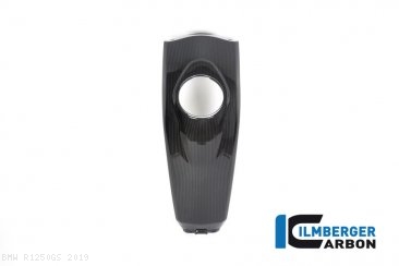 Carbon Fiber Tank Cover by Ilmberger Carbon BMW / R1250GS / 2019