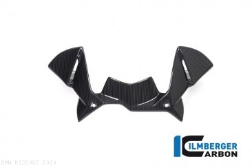 Carbon Fiber Instrument Panel Wind Guard by Ilmberger Carbon BMW / R1250GS / 2020