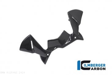 Carbon Fiber Instrument Panel Wind Guard by Ilmberger Carbon BMW / R1250GS / 2020