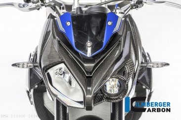 Carbon Fiber Front Fairing by Ilmberger Carbon BMW / S1000R / 2014