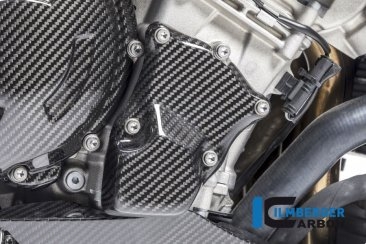 Carbon Fiber Ignition Rotor Cover by Ilmberger Carbon BMW / S1000RR / 2011