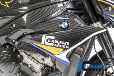 Carbon Fiber Right Side Fairing Panel by Ilmberger Carbon BMW / S1000R / 2017