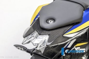 Carbon Fiber Upper Rear Tail Light Center Surround Piece by Ilmberger Carbon BMW / S1000R / 2018