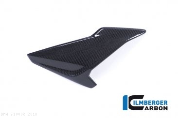 Carbon Fiber Right Side Fairing Panel by Ilmberger Carbon BMW / S1000R / 2018