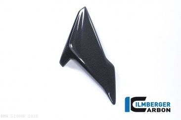 Carbon Fiber Right Side Fairing Panel by Ilmberger Carbon BMW / S1000R / 2018