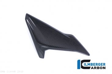 Carbon Fiber Right Side Fairing Panel by Ilmberger Carbon BMW / S1000R / 2018