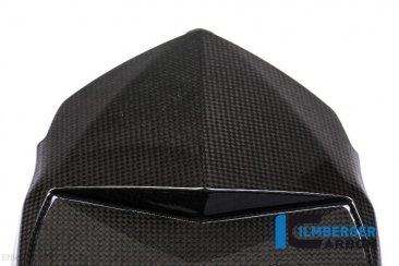 Carbon Fiber Rear Undertail Tray by Ilmberger Carbon BMW / S1000R / 2016