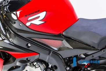 Carbon Fiber Left Side Tank Panel by Ilmberger Carbon BMW / S1000R / 2015