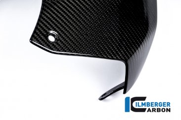 Carbon Fiber Upper Tank Cover by Ilmberger