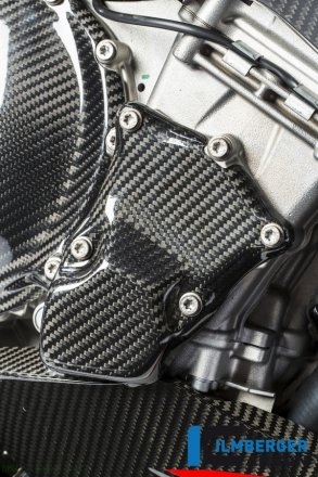 Carbon Fiber Ignition Rotor Cover by Ilmberger Carbon BMW / S1000XR / 2017