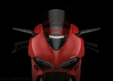  Ducati / 1299 Panigale R / 2017