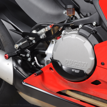  Ducati / 1199 Panigale R / 2013