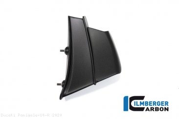 Carbon Fiber Winglet by Ilmberger Carbon Ducati / Panigale V4 R / 2020