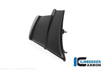 Carbon Fiber Winglet by Ilmberger Carbon Ducati / Panigale V4 R / 2020