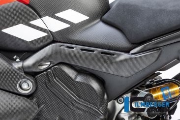 Carbon Fiber Frame Tail Cover by Ilmberger Carbon Ducati / Panigale V4 / 2021