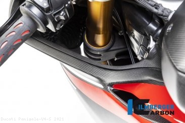 Carbon Fiber Left Inner Fairing by Ilmberger Carbon Ducati / Panigale V4 S / 2021