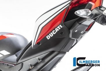 Carbon Fiber Rear Undertail Cover by Ilmberger Carbon Ducati / Panigale V4 / 2021