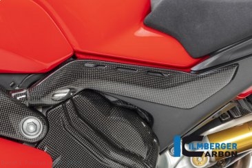 Carbon Fiber Frame Tail Cover by Ilmberger Carbon Ducati / Panigale V4 / 2020