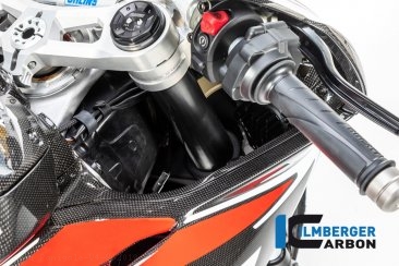 Carbon Fiber Right Inner Fairing by Ilmberger Carbon Ducati / Panigale V4 S / 2019