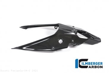 Carbon Fiber Rear Undertail Cover by Ilmberger Carbon Ducati / Panigale V4 S / 2021