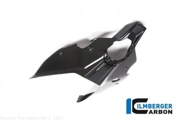 Carbon Fiber Rear Undertail Cover by Ilmberger Carbon Ducati / Panigale V4 S / 2021