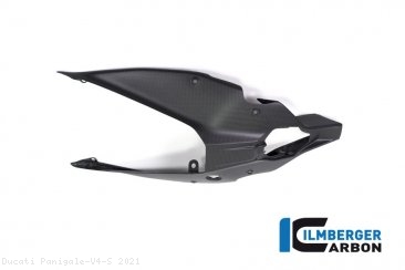 Carbon Fiber Rear Undertail Cover by Ilmberger Carbon Ducati / Panigale V4 S / 2021