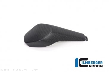 Carbon Fiber Passenger Seat Cover by Ilmberger Carbon Ducati / Panigale V4 R / 2019