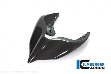 Carbon Fiber Monoposto Rear Seat Cover by Ilmberger Carbon Ducati / Panigale V4 S / 2024