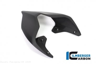 Carbon Fiber Monoposto Rear Seat Cover by Ilmberger Carbon Ducati / Panigale V4 / 2019