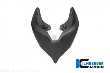 Carbon Fiber Monoposto Rear Seat Cover by Ilmberger Carbon Ducati / Panigale V4 S / 2024