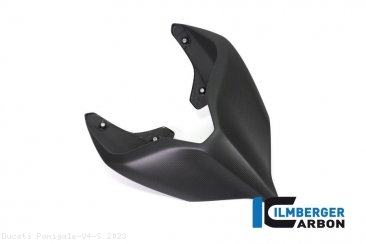 Carbon Fiber Monoposto Rear Seat Cover by Ilmberger Carbon Ducati / Panigale V4 S / 2023