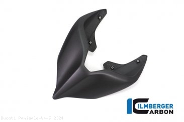 Carbon Fiber Monoposto Rear Seat Cover by Ilmberger Carbon Ducati / Panigale V4 S / 2024