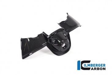 Carbon Fiber Ignition Cover by Ilmberger Carbon