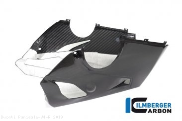 Carbon Fiber Bellypan by Ilmberger Carbon Ducati / Panigale V4 R / 2019