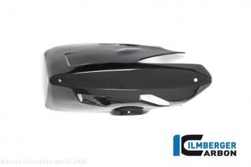 Carbon Fiber RACE VERSION Bellypan by Ilmberger Carbon Ducati / Panigale V4 S / 2024