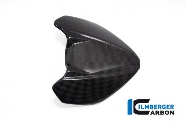 Carbon Fiber Windscreen by Ilmberger Carbon