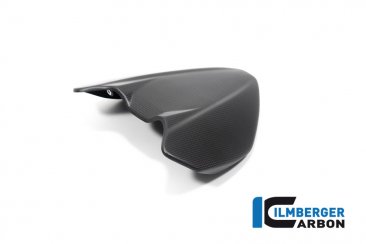 Carbon Fiber Windscreen by Ilmberger Carbon