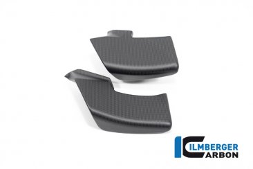 Carbon Fiber Winglet by Ilmberger Carbon